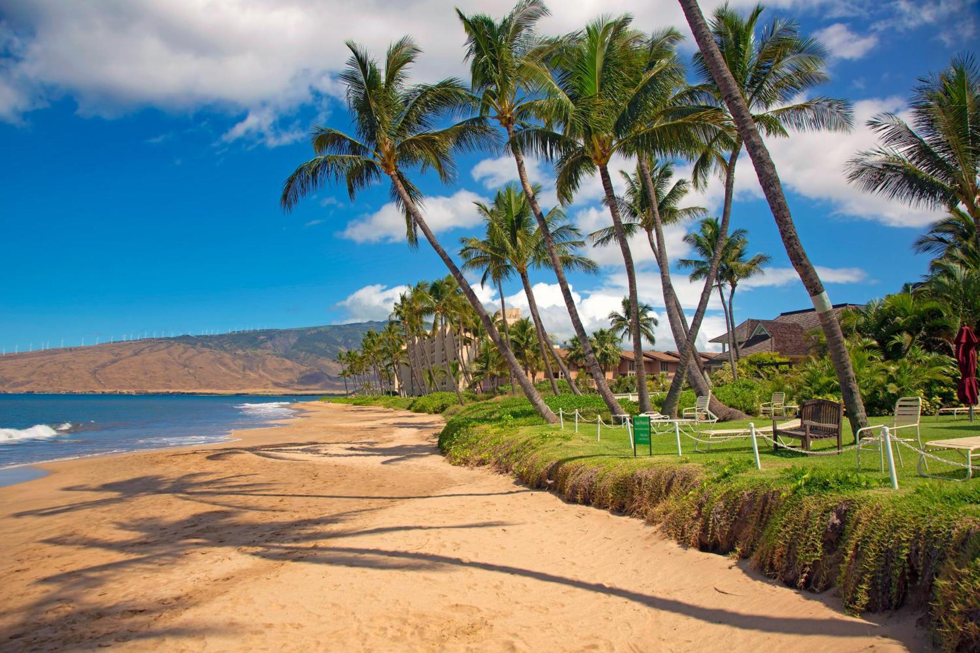 Nani Kai Hale Apartment Kihei Phòng bức ảnh